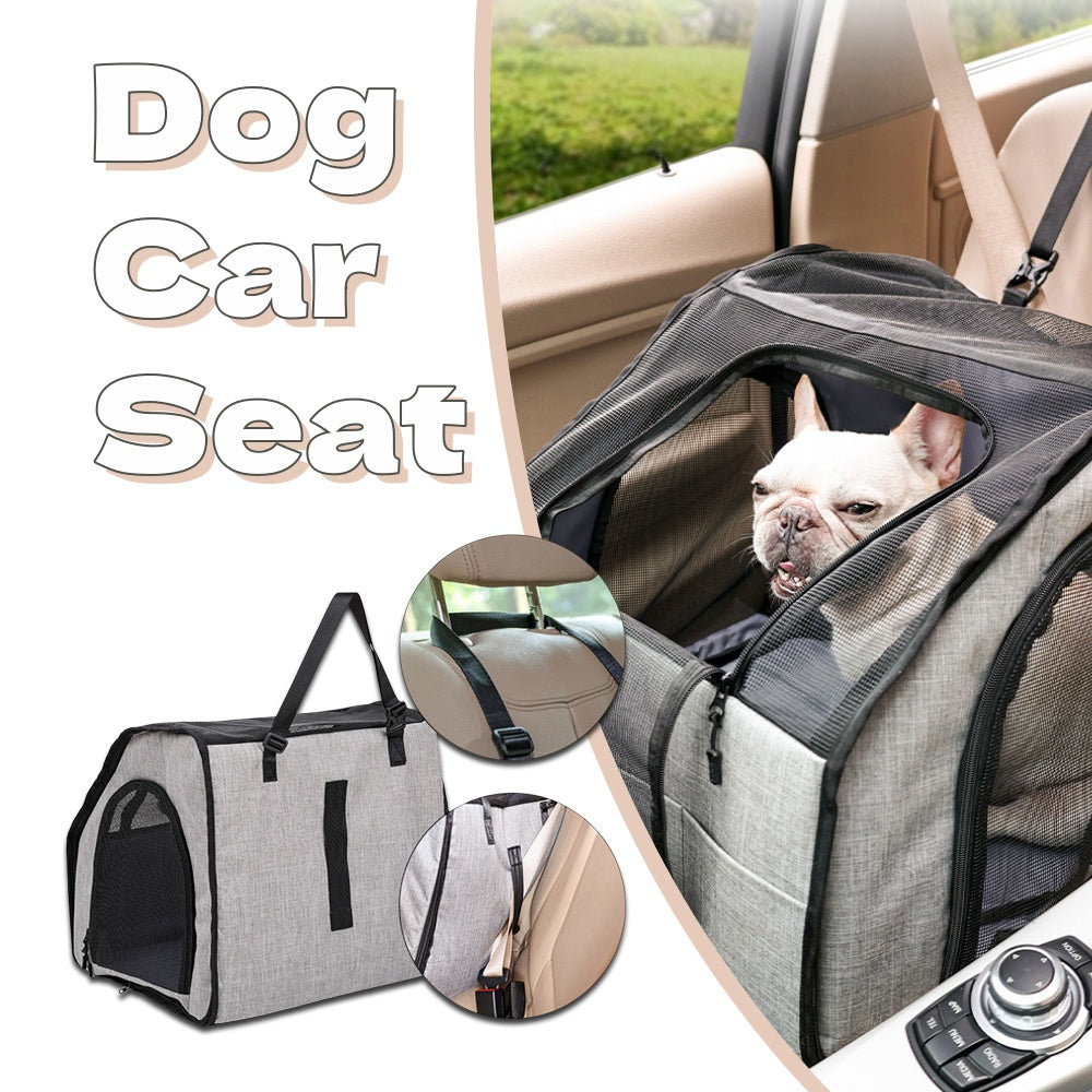 Dog car crate strapped into a car seat with a small dog looking out of the mesh window